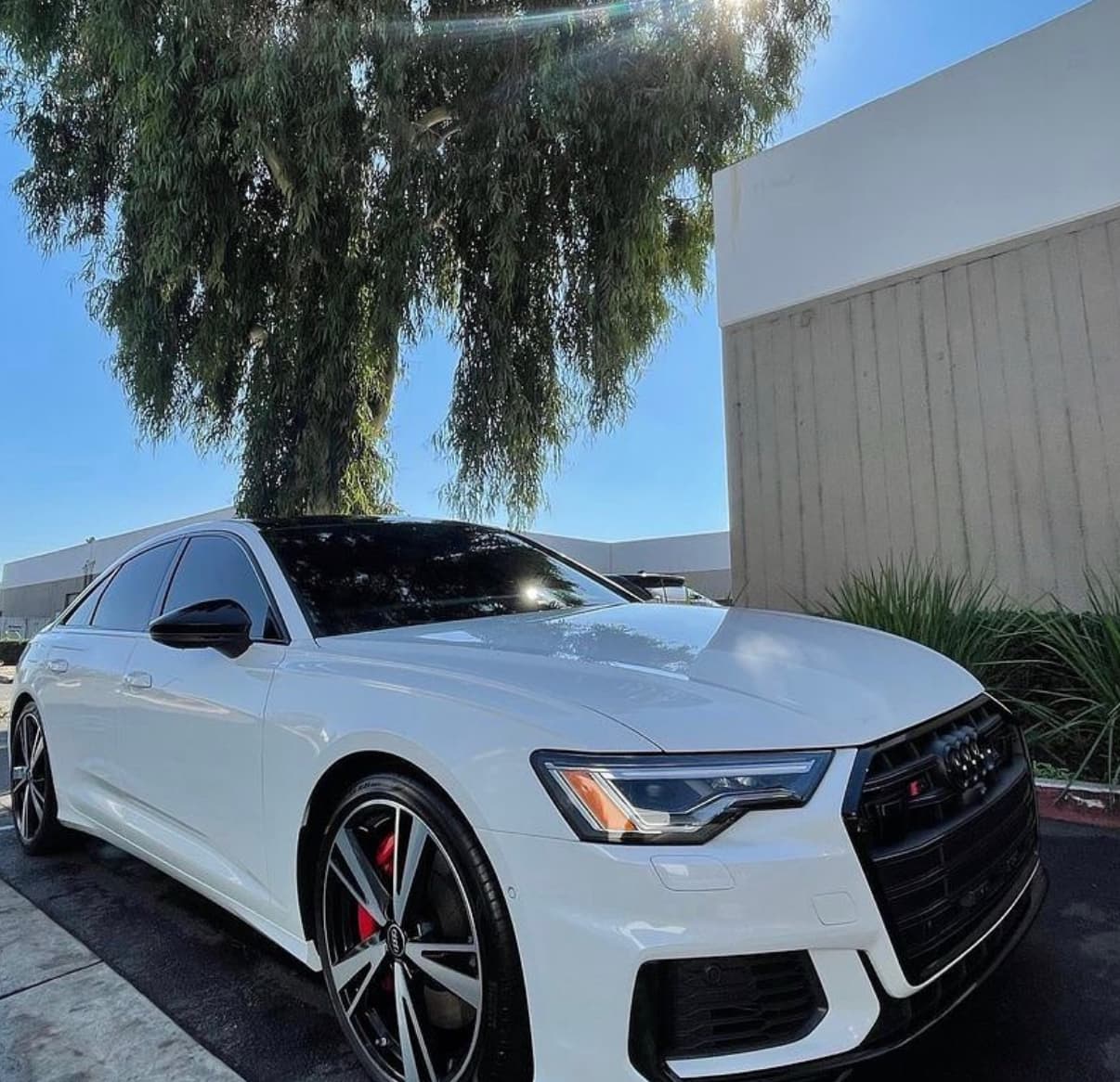 Detailed vehicle 6 by Camelback Mobile Car Detailing